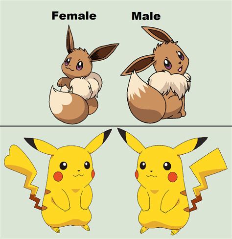 male only pokemon|pokemon male and female differences.